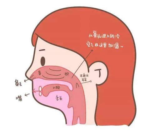 怎样缓解鼻炎鼻塞？ - 知乎