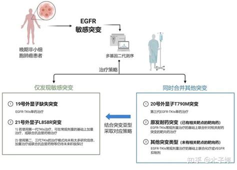 EGFR基因突变检测_word文档免费下载_文档大全