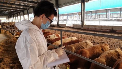 省畜牧总站组织国家肉羊体系专家开展2020年科技助力东乡羊产业增收行 @ 甘肃三农在线