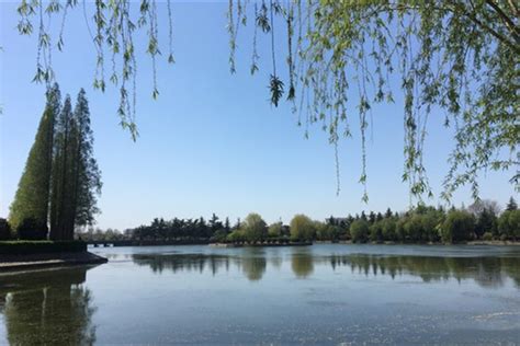 淮安白马湖 家乡美丽的湖|白马湖|花卉|李庄_新浪新闻