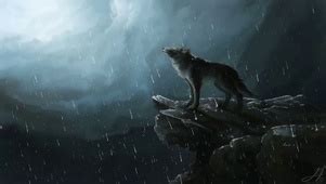 治愈系动画推荐：狼的孩子雨和雪|狼|孩子|人类_新浪新闻
