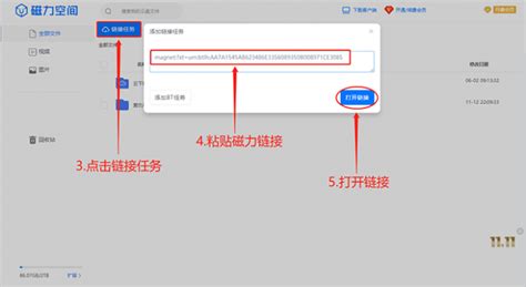 如何使用idm下载磁力 idm下载磁力有效的方法-IDM中文网站