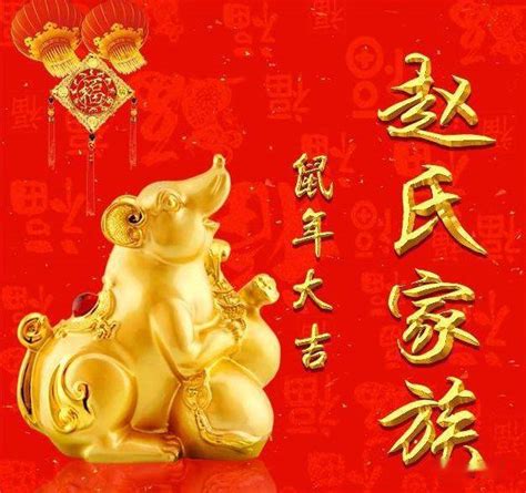 姓氏头像赵非主流