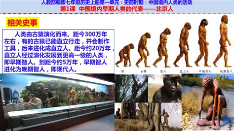 第1课 中国境内早期人类的代表——北京人 课件（33张PPT）-21世纪教育网
