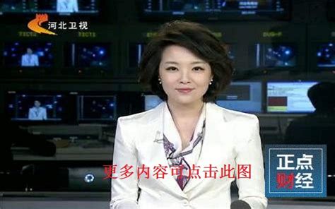 河北电视台标志,河北电视台台标,河北电视台佟凯_大山谷图库
