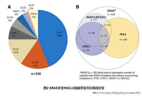 肠癌KRAS基因突变 - 知乎