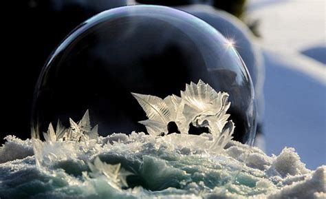 摄影师拍冰晶肥皂泡 如神秘水晶球-冰晶,肥皂泡,水晶球-莲都新闻网