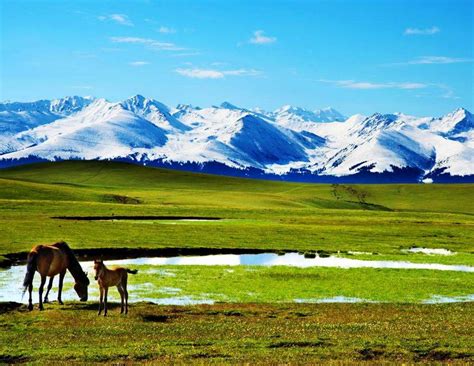 新疆农业种植网——新疆特色农业产品及发展__凤凰网