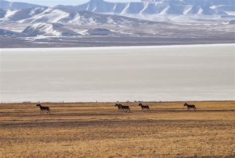 国家公园群建设让西藏更好保护地球“第三极”_国内_新闻频道_云南网