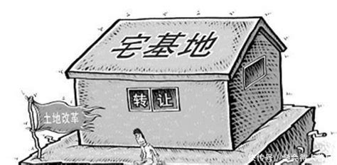 农村宅基地政策汇总_澎湃号·政务_澎湃新闻-The Paper