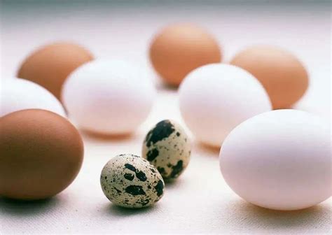 鸡蛋、鸭蛋、鹌鹑蛋、鹅蛋…到底有什么区别？不知道的就亏大了_凤凰网