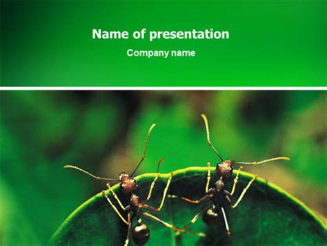Ant Presentation Template for PowerPoint and Keynote | PPT Star