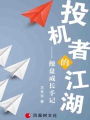 投机者的江湖(王良龙)全本在线阅读-起点中文网官方正版