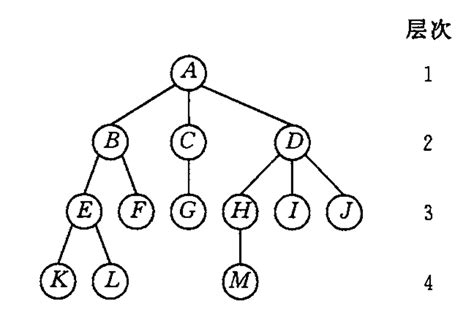 #图解 数据结构：树的存储结构 - 知乎
