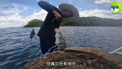 渔民用200米的延绳海钓，第二天就挂满大鱼，赚了一个月的工资_高清1080P在线观看平台_腾讯视频