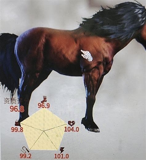 帝国神话高品质马匹获取技巧详解[多图] - 单机游戏 - 教程之家