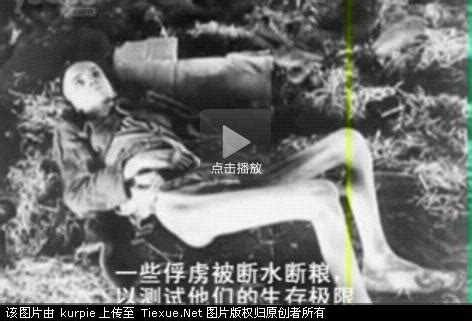 揭秘日本731部队所做的暴行，将人活活折磨致死_凤凰网视频_凤凰网