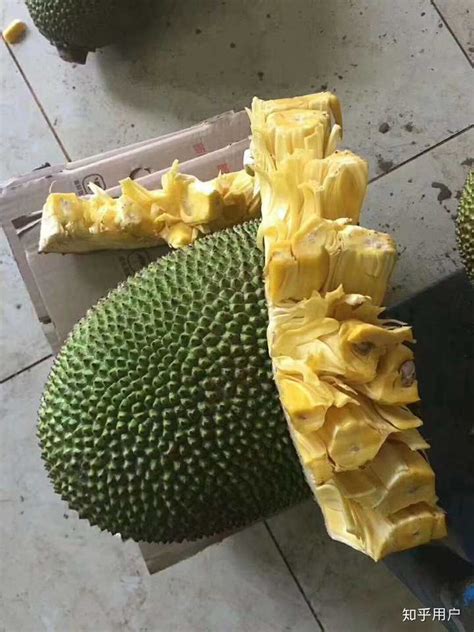 菠萝蜜的营养价值_菠萝蜜的营养价值菠萝蜜的做法_中国排行网