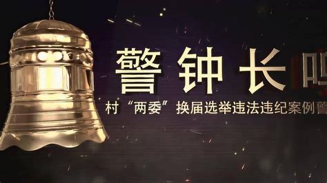 警钟长鸣-村“两委”换届选举违法违纪案例警示录【3】