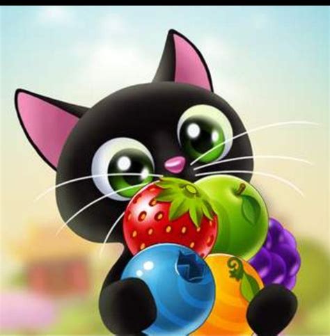 猫可以吃水果吗（宠物猫什么水果不能吃）-大盘站 - 大盘站