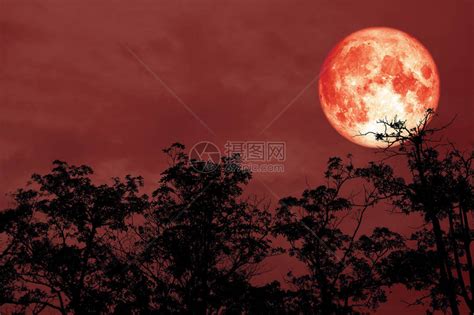 米月图片