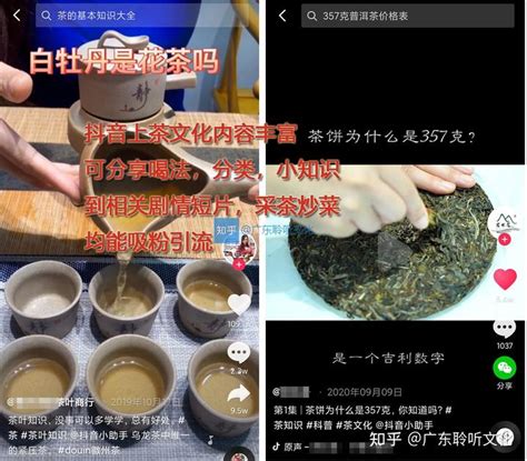 淘宝商城茶叶店铺模板源文件PSD素材免费下载_红动中国