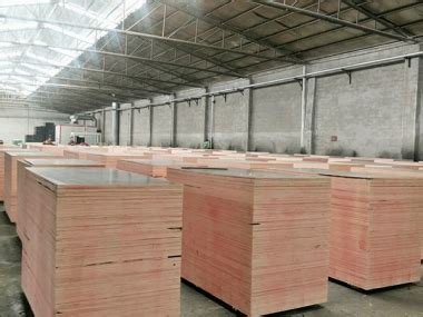 紫豹木业12-16mm桉木整芯清水模板 1.45cm覆膜建筑模板 土方木用-阿里巴巴