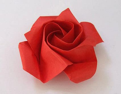 折纸玫瑰花的简单折法(用纸折的玫瑰花简单的折法) | 抖兔教育