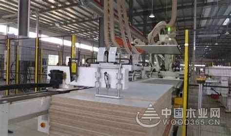 广西首条定制家居工业4.0自动化生产线在崇左开机投产-木业网