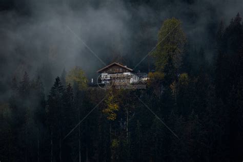 迷雾森林中远处房屋的风景高清图片下载-正版图片505604123-摄图网