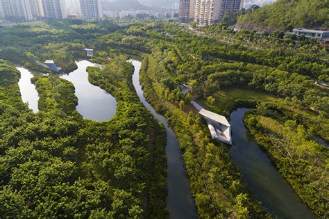 三亚红树林生态修复工程荣膺国际奖项 被评为2019AZ最佳景观奖-三亚新闻网-南海网