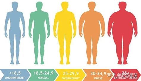 什么是BMI - 知乎