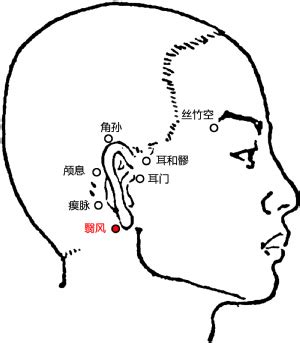翳风穴位图图片