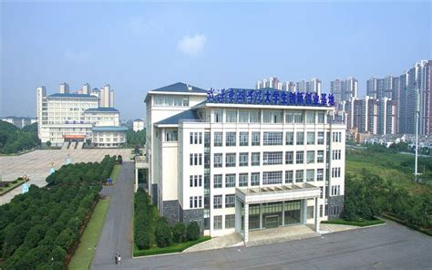 探索“一个中心、四个面向”人才培养模式——武汉东湖学院高水平应用型大学建设发展纪略-教育教学评建处