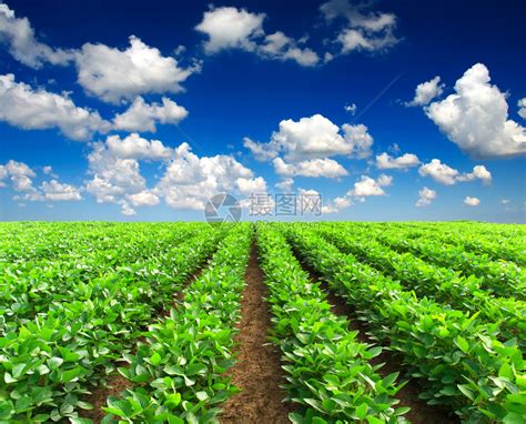 上海绿立方农业发展有限公司介绍_工资待遇_工作环境-5A农业人才网