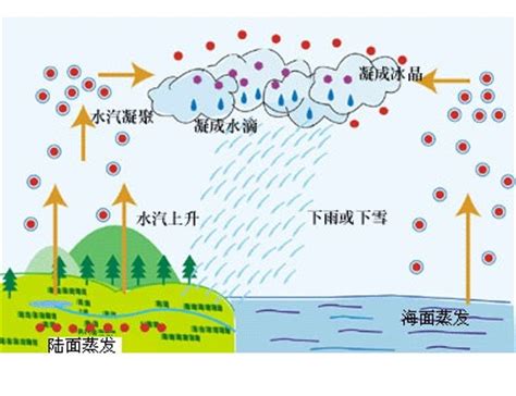 导致酸雨的两种气体造成酸雨的三种气体2022已更新今日推荐