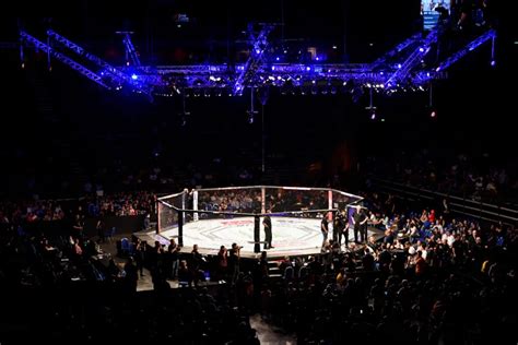 重磅 | UFC推出全新系列赛：UFC精英之路|新加坡|特谢拉|锦标赛_新浪新闻