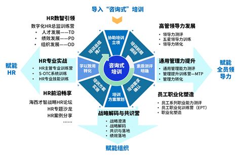 电商营销新方案——全网全程的效果整合营销 - 易观