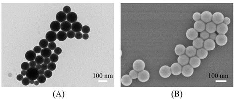 硒掺杂的分级孔碳纳米片用于电催化CO2还原研究----北京同步辐射装置