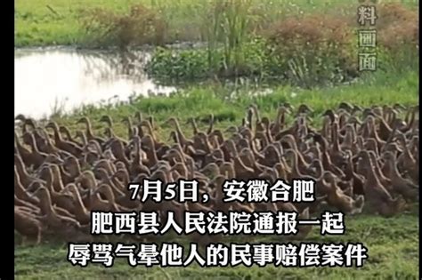 合肥一养鸭人怀疑村民偷鸭子 将其骂晕住院_凤凰网视频_凤凰网
