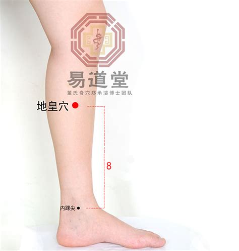 肾关的准确位置图图片 肾关的准确位置图图片