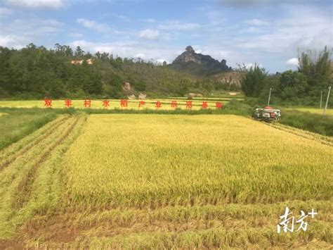 航拍广东河源龙川霍山风景区全貌_3840X2160_高清视频素材下载(编号:8998332)_实拍视频_光厂(VJ师网) www.vjshi.com