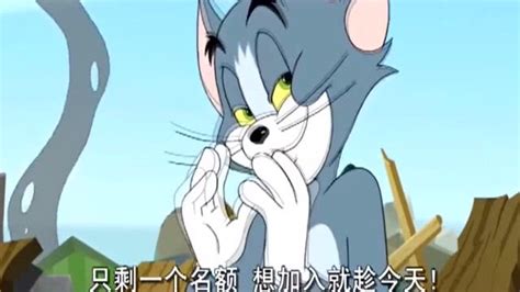动画【猫和老鼠：飙风天王】免费下载 - 爱贝亲子网