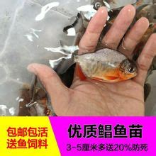 【广州鱼市场】_广州鱼市场品牌/图片/价格_广州鱼市场批发_阿里巴巴