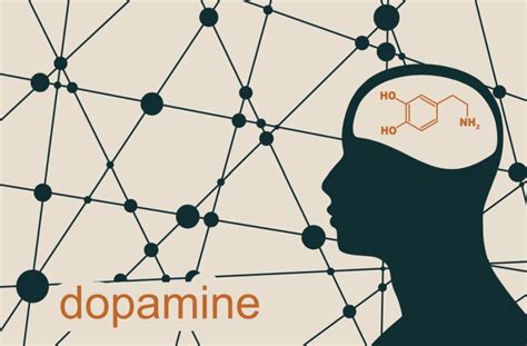 人体产生过多多巴胺会是什么样？ - 知乎