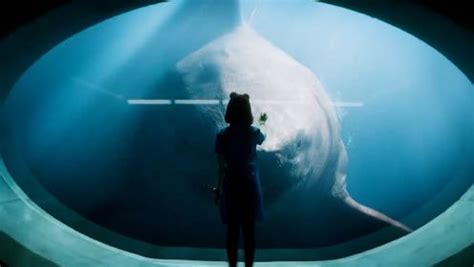 电影《巨齿鲨2：深渊》发布“探索未知”预告……|探索未知|巨齿鲨2：深渊|巨齿鲨_新浪新闻