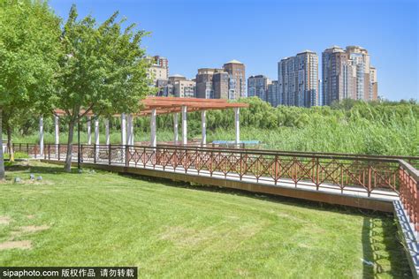 遛娃、跑步、聊天……郊野公园成北京市民消暑纳凉好去处_北京日报网