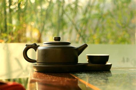 云南普洱古茶园与茶文化系统 - 全国农业展览馆（中国农业博物馆） - 全国农业展览馆