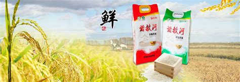 稻花香十里 | 源于川粮米业的味觉享受！ - 企业 - 中国产业经济信息网