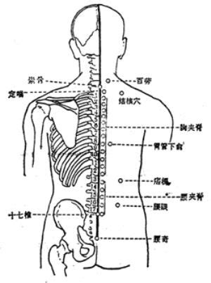 百劳的准确位置图图片 百劳的准确位置图图片